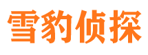 无为侦探公司